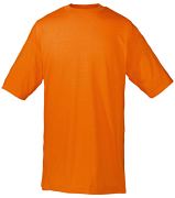 kliknij żeby zobaczyć powiększenie 150.01 Podkoszulek Value Weight Tee
